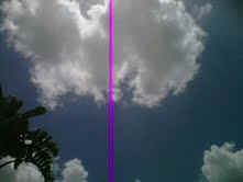 Photo_Purple_Ray